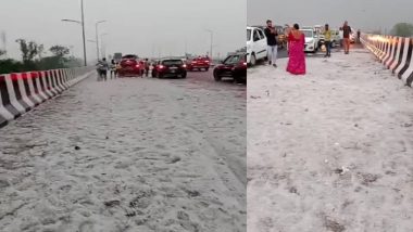 Hailstorm in Gujarat: শীতের মুখে গুজরাটে অপ্রত্যাশিত শিলাবৃষ্টি, রাজকোট যেন মিনি কাশ্মীর!