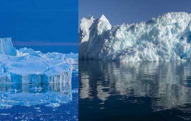 Antarctic Iceberg: অ্যান্টার্কটিকায় ধসে পড়ল আয়তনে নিউ ইয়র্কের চেয়ে তিন গুন বড় হিমশৈল, পেঙ্গুইনের দেশে বিশ্ব উষ্ণায়নের থাবা