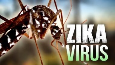 Zika Virus: দেশে জিকা ভাইরাসের থাকা! পুনেতে আক্রান্ত চিকিৎসক এবং তাঁর ১৫ বছরের মেয়ে