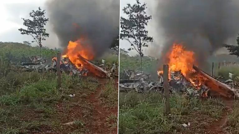 Plane Crash Video: গাছের সঙ্গে ধাক্কা লেগে প্যারাগুয়েতে বিমান দুর্ঘটনা, মৃত্যু শাসক দলের এক নেতা সহ ৪ জনের