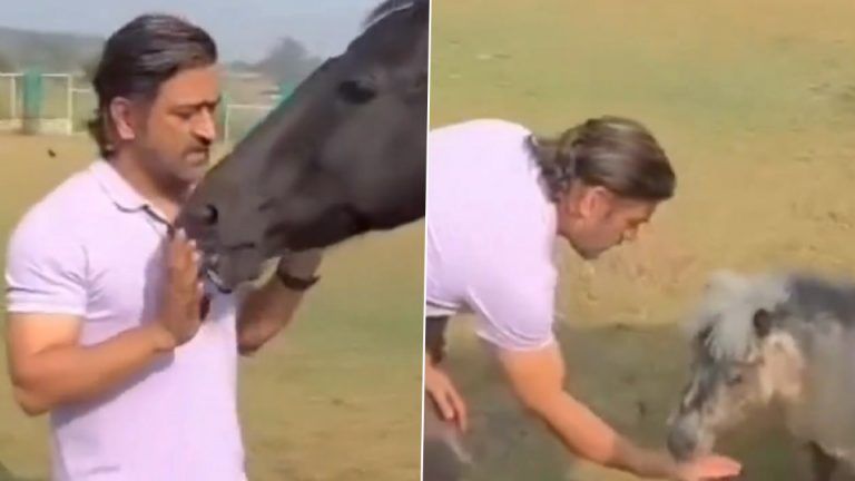 MS Dhoni Playing With Horse: দেখুন, রাঁচির ফার্মহাউসে ঘোড়ার সঙ্গে খেলায় মত্ত্ব ধোনি