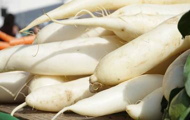 Radish Benefits: শীতে খ্যদতালিকায় রাখুন মুলো, পাবেন অসংখ্য উপকার