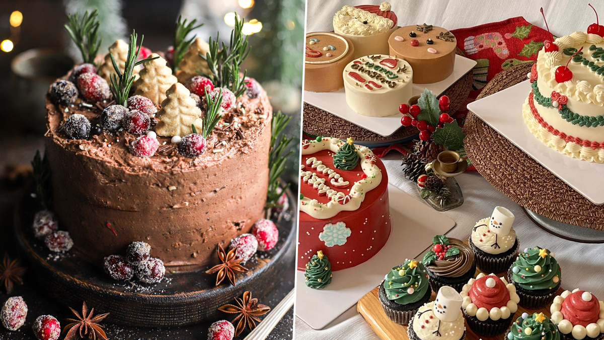 Christmas Special Cake: বড়দিনে বাড়িতেই বানিয়ে ফেলুন ক্রিসমাস স্পেশাল কেক, দেখুন ভিডিও