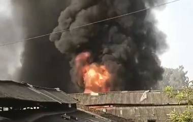 Jammu Fire: দাউদাউ করে জ্বলছে জম্মুর কারখানা, ভয়াবহ ভিডিয়ো