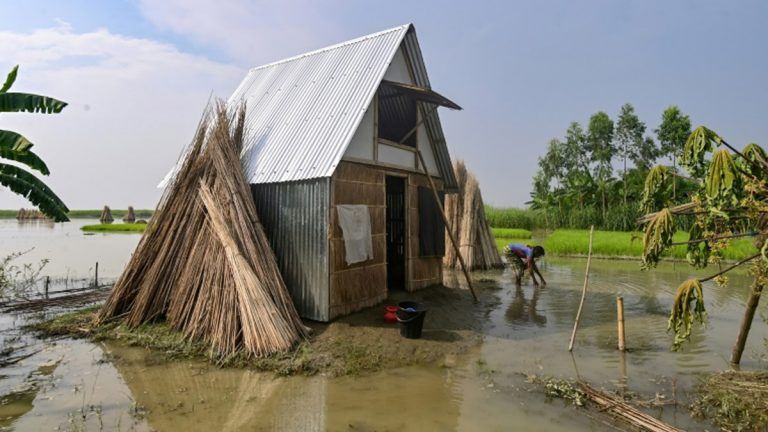 Bangladesh’s ‘Tiny Houses’: দেখুন,  বিশাল বন্যার মোকাবেলা করতে সক্ষম বাংলাদেশের 'ক্ষুদি বাড়ি'