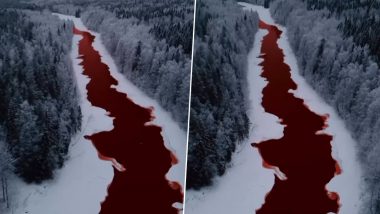 River Turns Red in Russia: রক্তবর্ণ রাশিয়ার নদী! দেখুন ভাইরাল ভিডিও