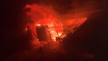 Palam Fire: দিল্লির বহুতল আবাসনে ভয়াবহ অগ্নিকাণ্ড, ভয়ানক ভিডিয়ো