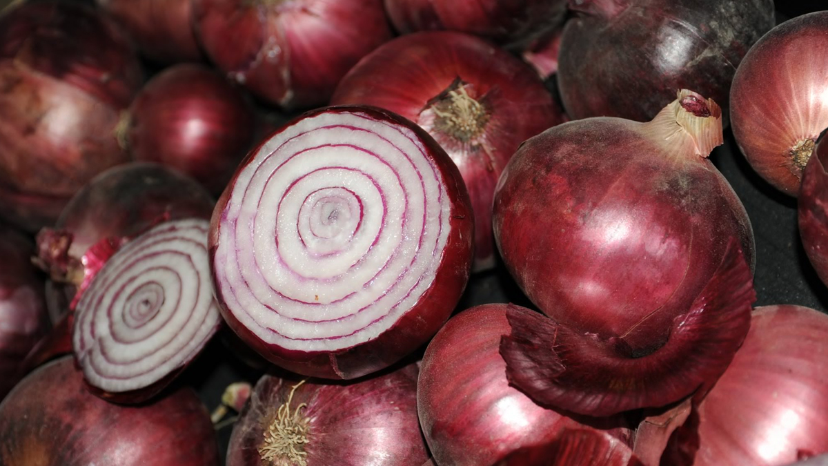 Onion Price Hike: লাগামহীন পেঁয়াজের দরবৃদ্ধি রুখতে ময়দানে কেন্দ্র, বাজারে পেঁয়াজ পাঠাতে চালু হচ্ছে বিশেষ ‘কান্দা এক্সপ্রেস’