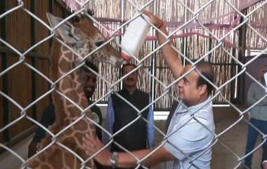 Himanta Biswa Sarma Feeding Giraffe: ছোট্ট জিরাফ পারিজাত-কে দুধ খাওয়াচ্ছেন হিমন্ত বিশ্ব শর্মা, গুয়াহাটি চিড়িয়াখানার ভিডিয়ো