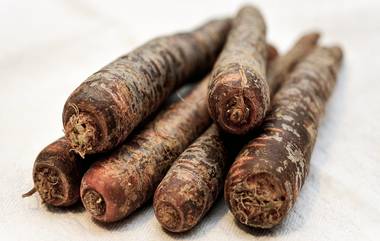 Black Carrot Benefits: কালো গাজর খেলে ওজন কমবে দ্রুত, জেনে নিন অনান্য উপকারিতা সম্পর্কে