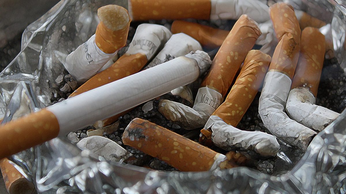 Cigarette Smoking Research: কেবল ফুসফুস কিংবা হার্ট নয় ধূমপানে মারাত্মক ক্ষতি হচ্ছে মস্তিষ্কের, আকারে ছোট হচ্ছে তা