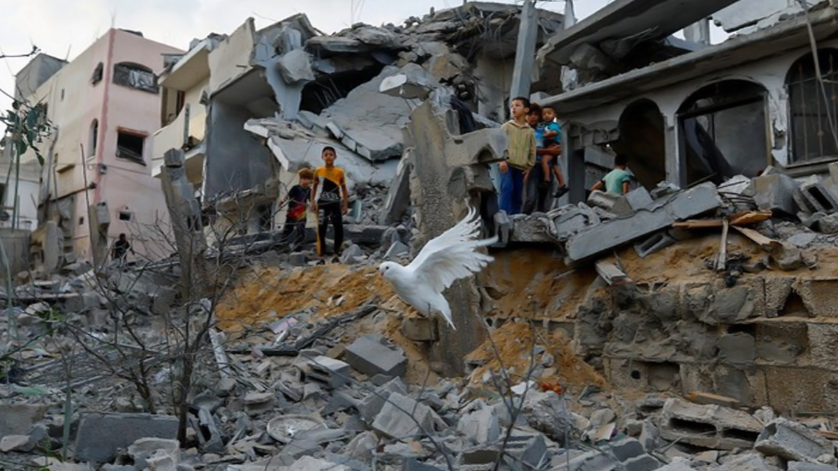 Gaza Updates: ধ্বংসস্তূপে পরিণত হওয়া গাজায় জীবনের উড়ান সাদা পায়রার!