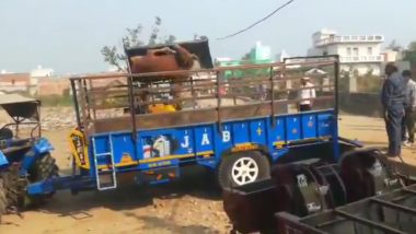 Animal Cruelty In Uttar Pradesh: গরুকে JCB দিয়ে তুলে ছুঁড়ে ফেলা হল ট্রাক্টরের ট্রলিতে, যোগীরাজ্যের ভিডিয়ো