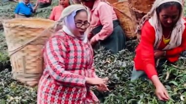 Mamata Banerjee Video: পাহাড়ি পোশাকে শ্রমিকদের সঙ্গে চা পাতা তুললেন মুখ্যমন্ত্রী, দেখুন ভিডিয়ো