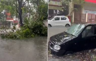 Chennai Airports: রানওয়েতে হাঁটু সমান জল, কাল সকাল পর্যন্ত পুরোপুরি বন্ধ চেন্নাই বিমানবন্দর