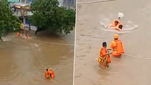 Tamil Nadu Rain: বৃষ্টিতে বিপর্যস্ত তামিলনাড়ুকে ছেড়ে মুখ্যমন্ত্রী স্ট্যালিন দিল্লিতে, কটাক্ষ মালব্যর