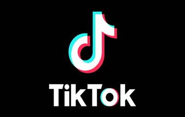 TikTok Ban: মার্কিন মুলুকে টিকটক বন্ধ হওয়ার পর কেঁদে ভাসাচ্ছেন কোটি কোটি ডলারের তারকারা