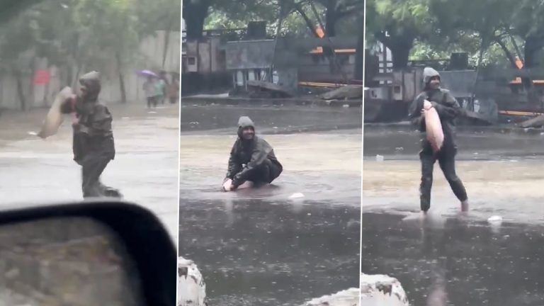 Chennai: তীব্র বৃষ্টির মধ্যে রাস্তার মাঝখানে জলে ভেসে আসা মাছ ধরছেন এক যুবক, দেখুন সেই ভাইরাল ভিডিও