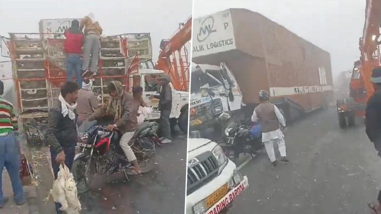 Chicken Loot Video: আগ্রার জাতীয় সড়কে দুর্ঘটনার পর  লুট হল মুরগি, দেখুন ভাইরাল ভিডিও