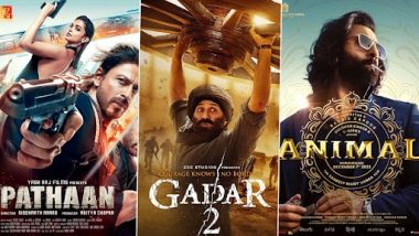 Top 5 Bollywood Movies 2023: বক্স অফিস তোলপাড় করা বছরের সেরা ৫টি হিন্দি সিনেমা 