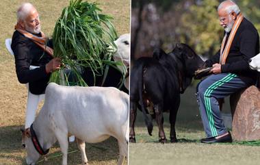 Makar Sankranti: মকর সংক্রান্তিতে দানধ্যানে হয় পুণ্যলাভ, বাসভবনে গরুদের নিজের হাতে খাওয়ালেন মোদী, রইল ছবি