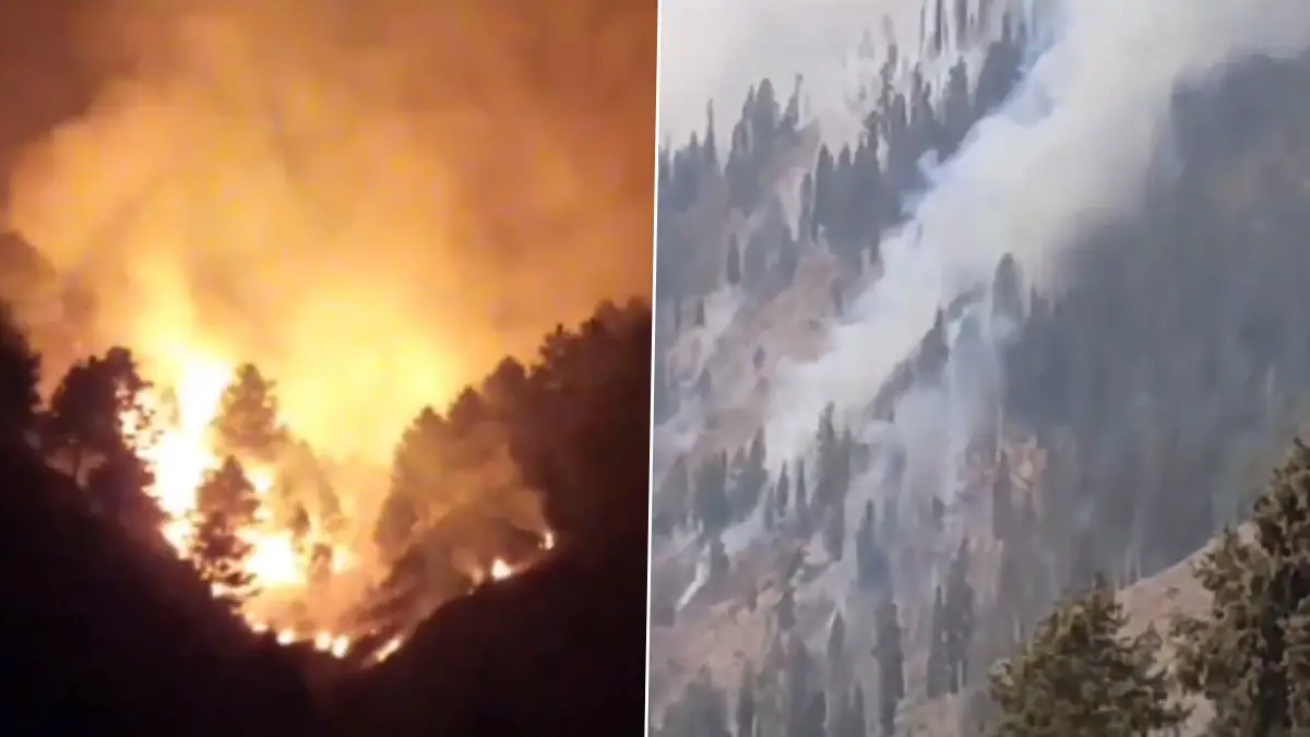 Jammu and Kashmir: শুষ্ক আবহাওয়ার জের, জম্মু কাশ্মীরের জঙ্গলে বিধ্বংসী অগ্নিকাণ্ড, দেখুন ভিডিয়ো