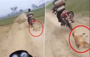 Animal Cruelty Video: কুকুরকে দড়িতে বেঁধে টেনে গিয়ে যাচ্ছে বাইক আরোহী, নৃশংসতার ভিডিয়ো