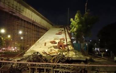 Flyover collapsed: চেন্নাইয়ে ভেঙে পড়ল নির্মীয়মাণ সেতু