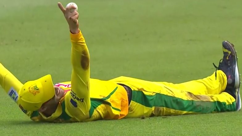 Faf Stunning Catch: দেখুন, বয়সের বাধা কাটিয়ে প্রায় চল্লিশেও অসাধারণ ক্যাচ ফ্যাফ ডু প্লেসিসের