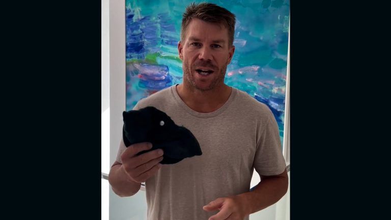 David Warner Found Lost Green Baggy: অবশেষে পাওয়া গেল ডেভিড ওয়ার্নারের গ্রিন ব্যাগি, জানালেন নিজেই ভিডিওতে