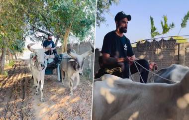 Ravindra Jadeja On Bullock Cart: গরুর গাড়িতে চড়ে ঘুরছেন রবীন্দ্র জাদেজা, দেখুন ভাইরাল ভিডিও