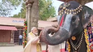 PM Modi at Tamil Nadu: তিরুচিরাপল্লীর শ্রী রঙ্গনাথস্বামী মন্দিরে মোদী, হাতিকে খাবার খাইয়ে বিষ্ণুর দর্শন নিলেন, দেখুন বিশেষ ভিডিয়ো