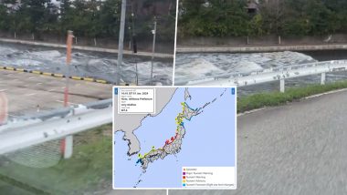 Japan Tsunami Video: সুনামির ভয়াবহ ঢেউ আছড়ে পড়ল জাপানের উড়ালপুলে, স্রোতের তোড়ে উল্টে গেল গাড়ি