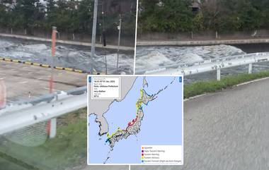 Japan Tsunami Video: সুনামির ভয়াবহ ঢেউ আছড়ে পড়ল জাপানের উড়ালপুলে, স্রোতের তোড়ে উল্টে গেল গাড়ি