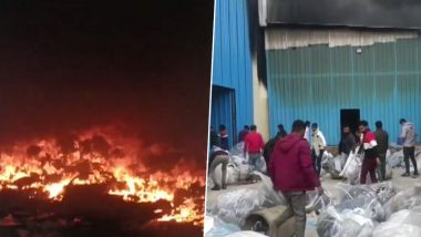 Haryana Fire: পাশাপাশি দুটি জুতোর কারখানায় বিধ্বংসী আগুন, কালো ধোঁয়ায় ঢেকেছে আকাশ