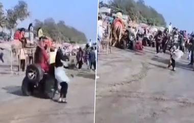 Video: উটের পিছনে ধাক্কা এটিভি বাইকের, দেখুন তারপর কী হল