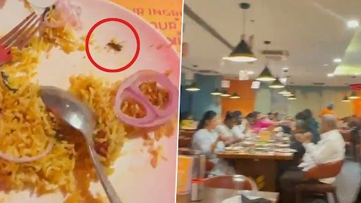 Dead Cockroach In Biryani: জনপ্রিয় রেস্তোরাঁর বিরিয়ানিতে মরা আরশোলা, দেখুন ভিডিয়ো