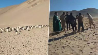 Ladakh Video: ভেড়া নিয়ে সরবেন না, নিজ ভূমি রক্ষায় লাদাখে চিনা সেনার চোখে চোখ রেখে লড়াই স্থানীয়দের