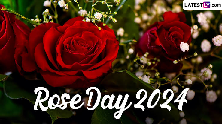 Rose Day 2024: ভ্যালেন্টাইনস উইকের প্রথম দিন রোজ ডে, জেনে নিন এই দিনের বিশেষ কিছু গল্প