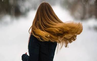 Summer Hair Care: গ্রীষ্ম কাল শুরু হওয়ার আগেই শুরু করুন চুলের যত্ন, এখন থেকে করুন এই কাজগুলো...