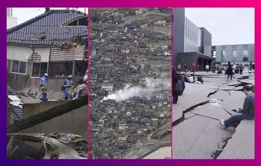 Japan Earthquake: প্রবল কম্পনে খেলনার মত ফাটল রাস্তা, জ্বলল বাড়ি