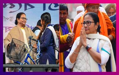 Mamata Banerjee চোট পেলেন, বর্ধমান থেকে ফেরার পথে আঘাত