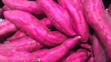 Sweet Potatoes Benefits: রোগ প্রতিরোধ ক্ষমতা বৃদ্ধিতে খাদ্য তালিকায় রাখুন পুষ্টিগুণে ভরপুর মিষ্টি আলু