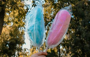 Cotton Candy Banned in Tamil Nadu: হাওয়াই মিঠাই আর নয়! তামিলনাড়ুতে নিষিদ্ধ ক্যান্সারে উৎসাহ দেওয়া কটন ক্যান্ডি