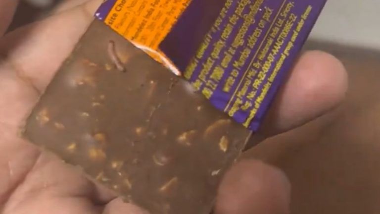 Live Worm in Cadbury: দেখুন, ক্যাডবেরি খুলতেই চকলেটে জ্যান্ত পোকা!