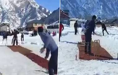 Cricket on Snow in Kashmir: দেখুন, কাশ্মীরের বরফ জমা উপত্যকায় ক্রিকেট খেলছেন স্থানীয়রা