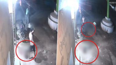 Murder Caught on Camera in Chhattisgarh: রাস্তার উপরে ফেলে লাঠি, কুড়াল দিয়ে বেধড়ক মার, নৃশংস খুনের সিসিটিভি ফুটেজ