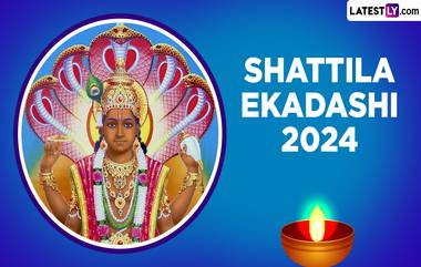 Shattila Ekadashi 2024: ষটতিলা একাদশীতে কেন ব্যবহার করতে হয় তিল? ৭ রকম ভাবে তিলের ব্যবহার করে পান শুভ ফল! জেনে নিন বিস্তারিত...