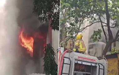 Fire breaks out in Turbhe Industrial Park at Navi Mumbai: মুম্বইয়ের ইন্ডাস্ট্রিয়াল পার্কে ভয়াবহ অগ্নিকাণ্ড!