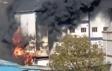 Fire Video: দাউ দাউ করে জ্বলছে পারফিউম ফ্যাক্টরি, আহত বহু, দেখুন ভিডিয়ো